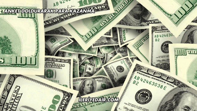 Anket Doldurarak Para Kazanma