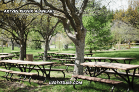 Artvin Piknik Alanları