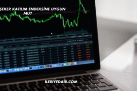 Bor Şeker Katılım Endeksine Uygun mu?