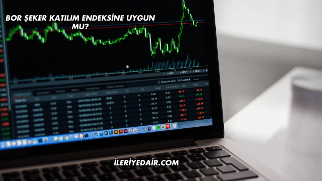 Bor Şeker Katılım Endeksine Uygun mu?