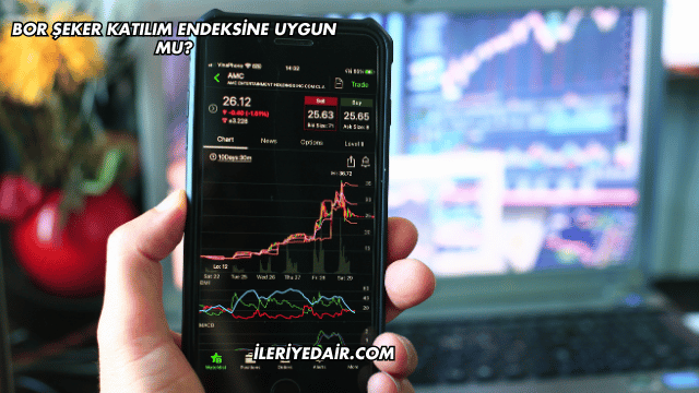 Bor Şeker Katılım Endeksine Uygun mu?