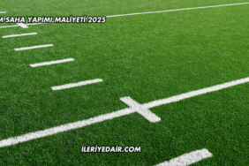 Çim Saha Yapımı Maliyeti 2025