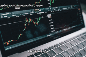 DCT Trading Katılım Endeksine Uygun mu?