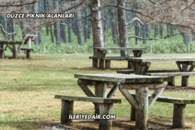 Düzce Piknik Alanları