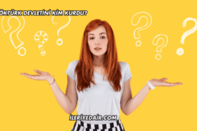 Göktürk Devletini Kim Kurdu?