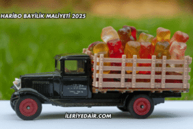 Haribo Bayilik Maliyeti 2025