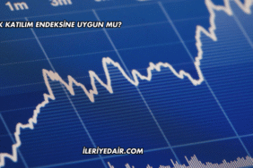 Patek Katılım Endeksine Uygun mu?