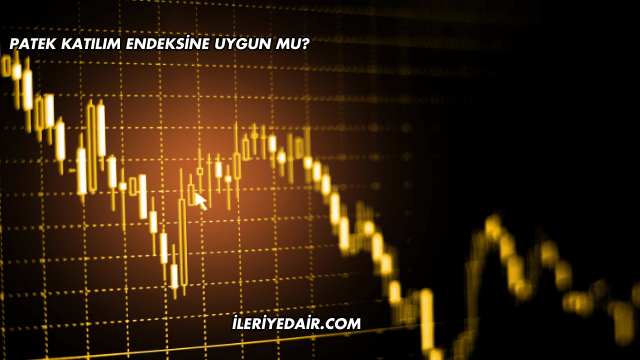 Patek Katılım Endeksine Uygun mu?