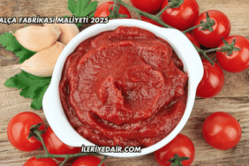 Salça Fabrikası Maliyeti 2025