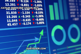 Sasa Katılım Endeksine Uygun mu?