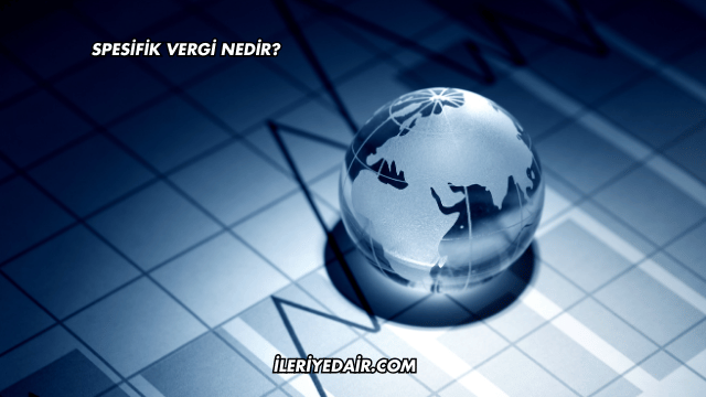 Spesifik Vergi Nedir?