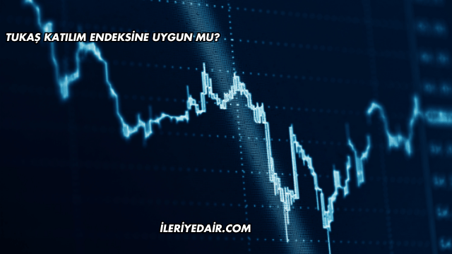 Tukaş Katılım Endeksine Uygun mu?