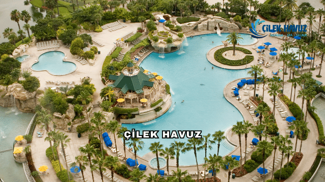 Çilek Havuz Hakkında