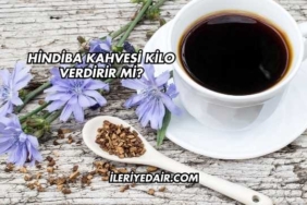 Hindiba Kahvesi Kilo Verdirir mi?