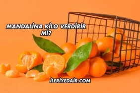 Mandalina Kilo Verdirir mi?