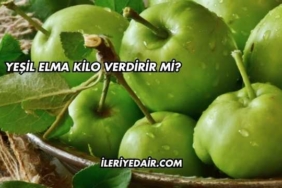 Yeşil Elma Kilo Verdirir mi?