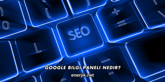 Google Bilgi Paneli Nedir?