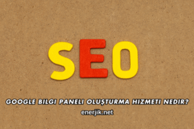 Google Bilgi Paneli Oluşturma Hizmeti Nedir?