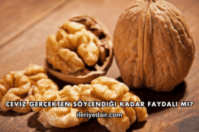Ceviz Gerçekten Söylendiği Kadar Faydalı mı?