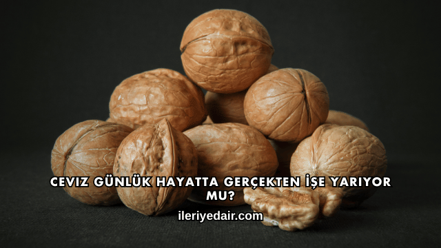 Ceviz Günlük Hayatta Gerçekten İşe Yarıyor mu?