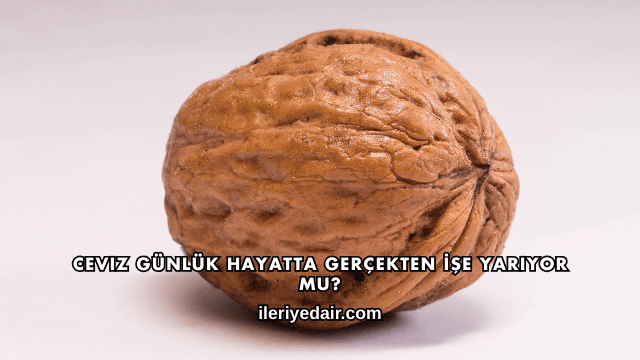 Ceviz Günlük Hayatta Gerçekten İşe Yarıyor mu?