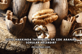 Ceviz Hakkında İnternette En Çok Aranan Sorular Nelerdir?