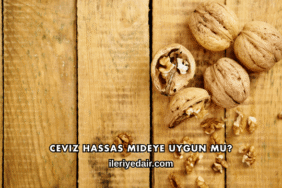 Ceviz Hassas Mideye Uygun mu?