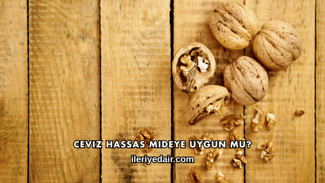 Ceviz Hassas Mideye Uygun mu?