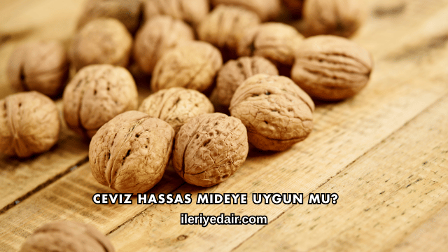 Ceviz Hassas Mideye Uygun mu?