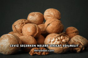 Ceviz Seçerken Nelere Dikkat Edilmeli?