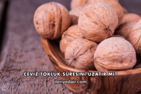 Ceviz Tokluk Süresini Uzatır mı?