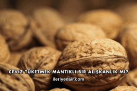 Ceviz Tüketmek Mantıklı Bir Alışkanlık mı?